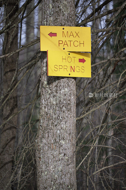森林中树木上的Max Patch和Hot Springs方向标志